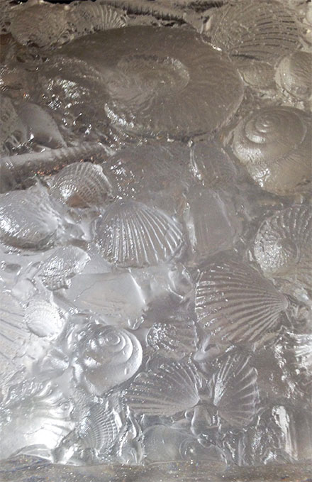 Sea shells in glass - ready for a superyacht interior design project. 