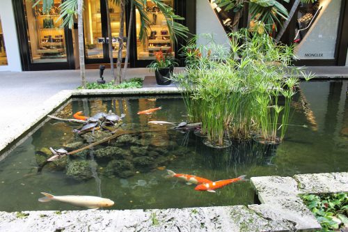 Image of a pond at Bal Harbour Miami