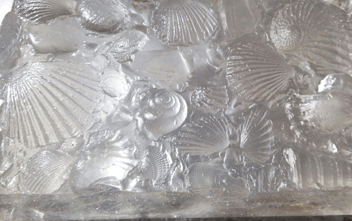 Seashells